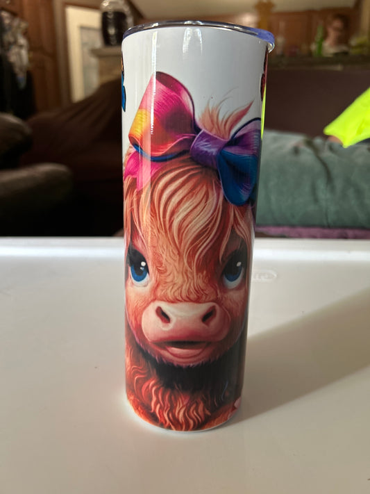 Highland Cow